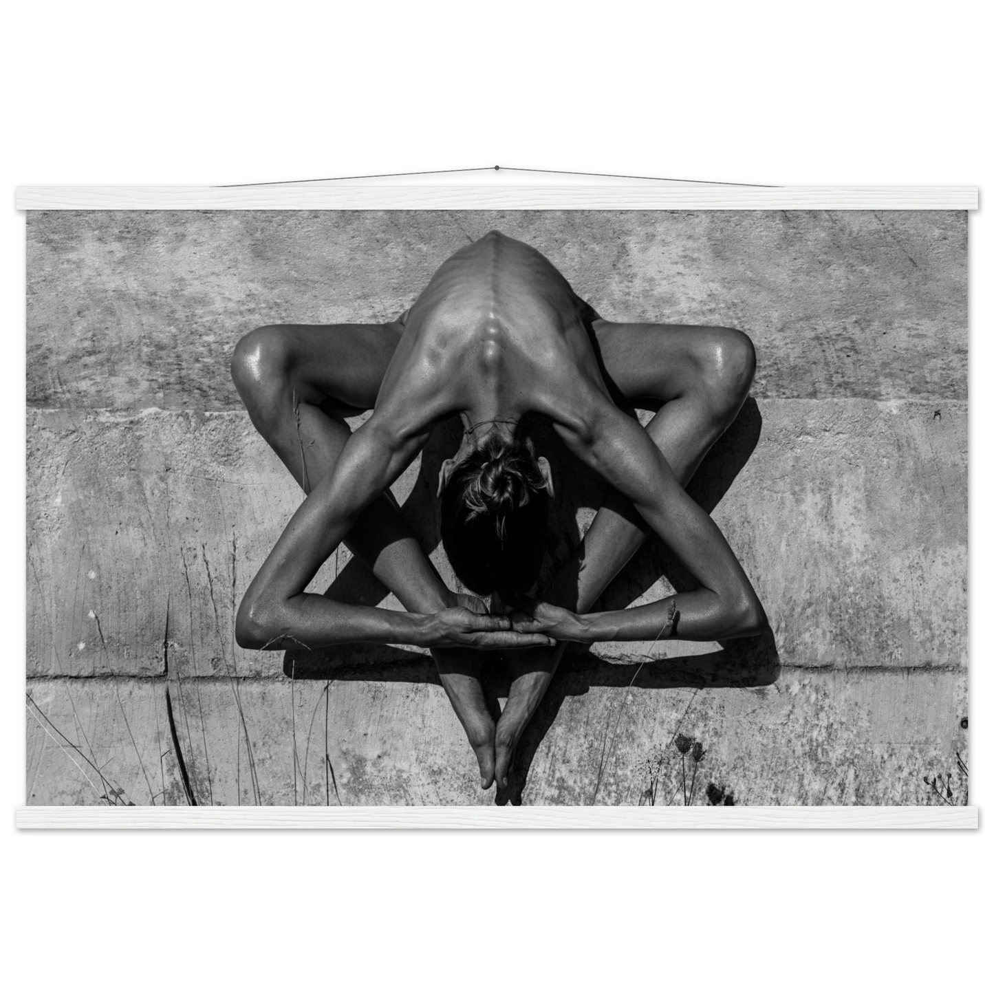 295454d8-d298-45f6-a57c-7fe4da63144f