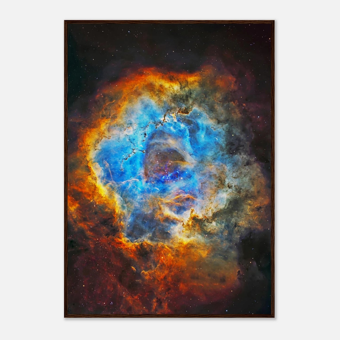 298e453e-2dc5-4d55-b860-cde75e21f19e