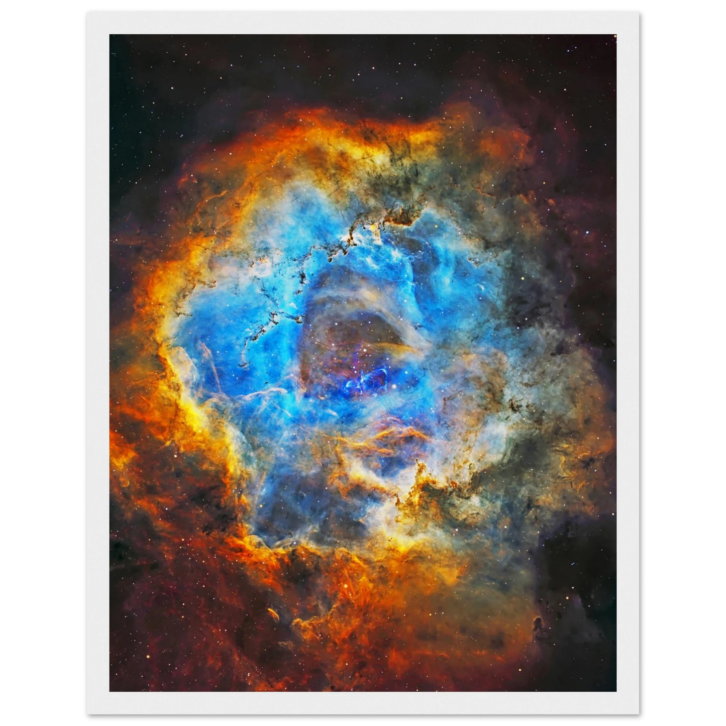 2a77ce97-ec31-437f-b9ee-e5fa1e415915