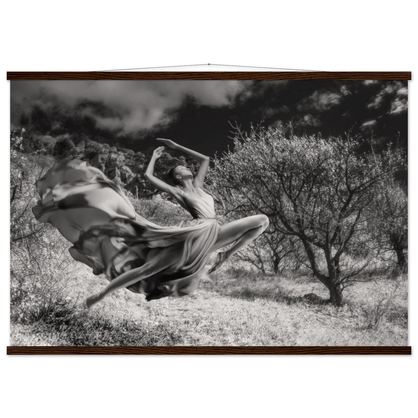 2ba2a0ef-9672-43df-83fe-df7647410984