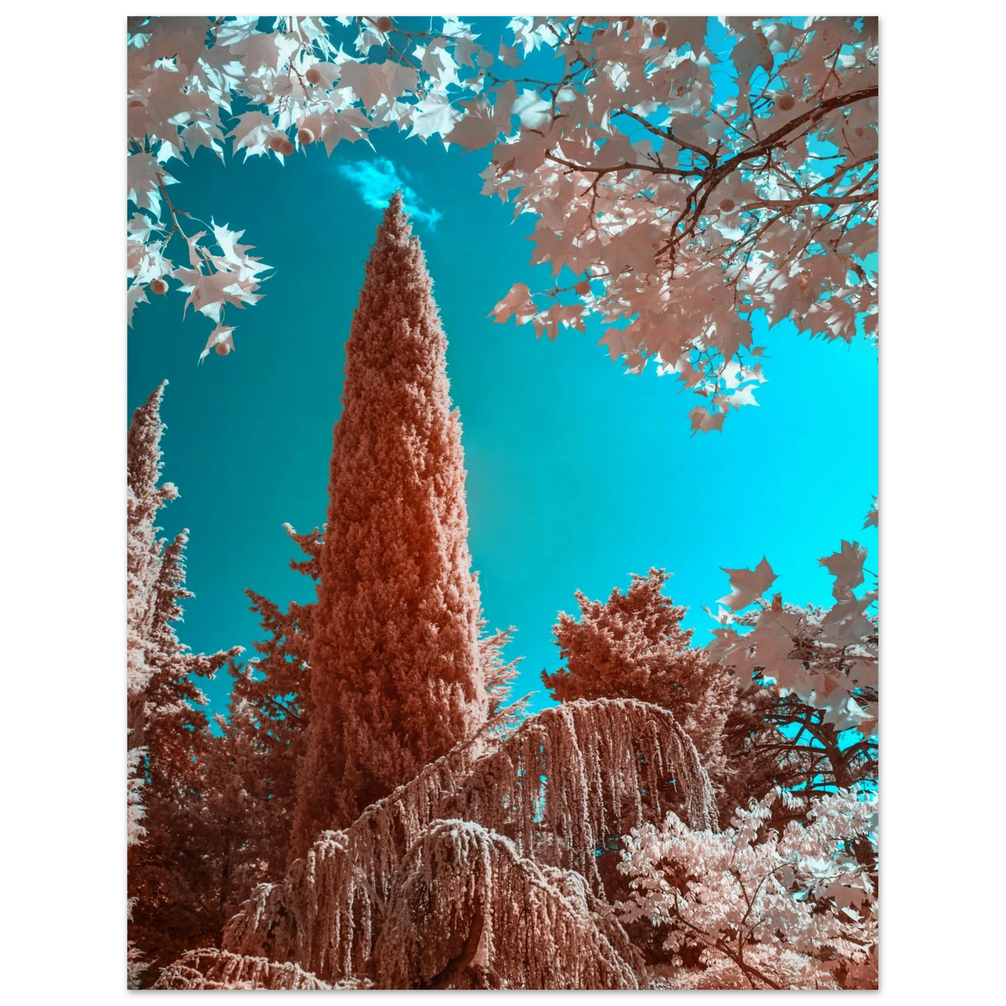 2c76dd01-a04a-42fe-ab01-18f5a4c63dd2