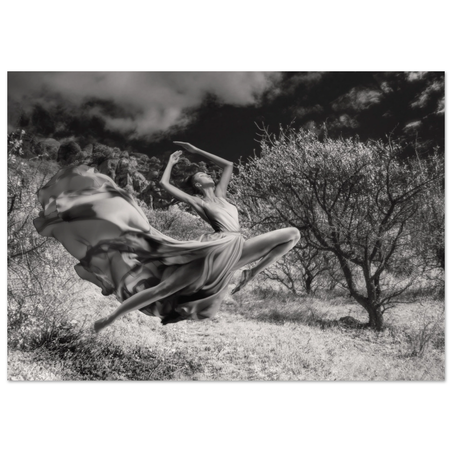 2d0b6da7-4221-4cd0-b0d2-8dd9254d7c65