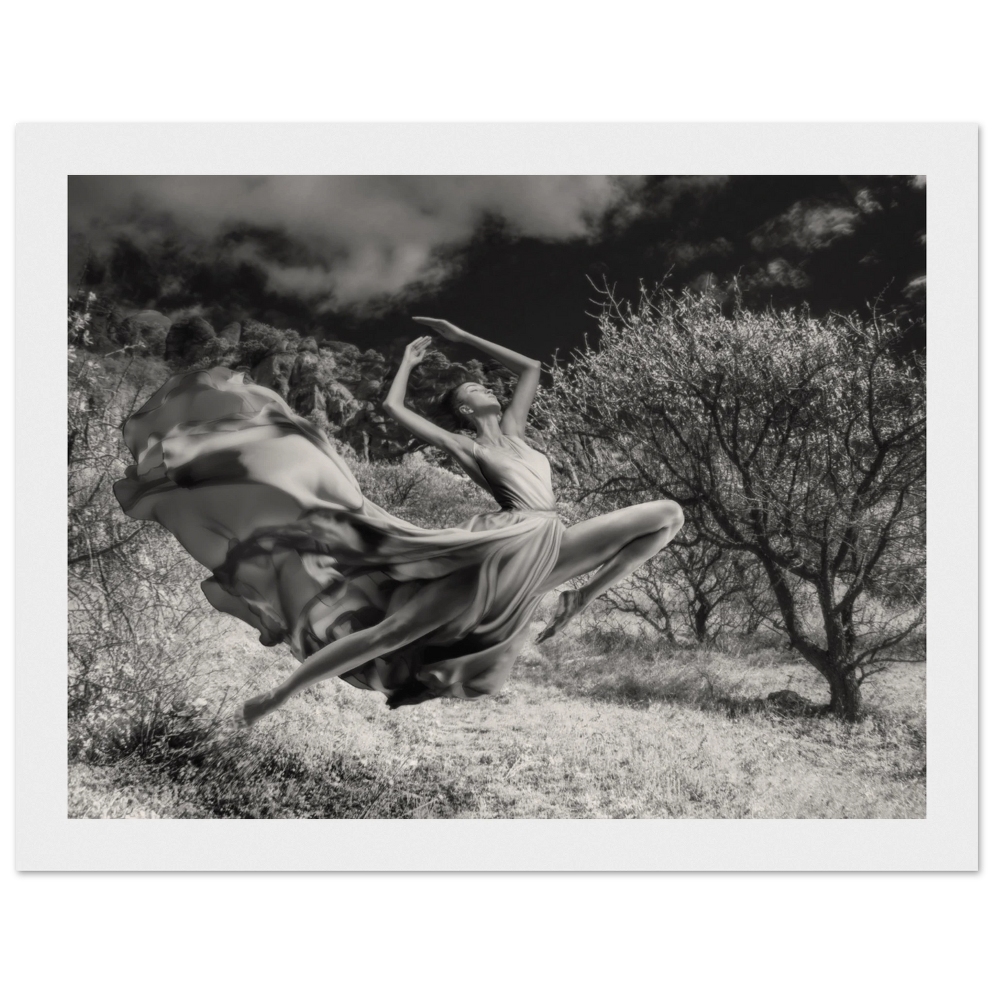 2e446290-0d0b-46bd-8b22-8b57c5d05cef