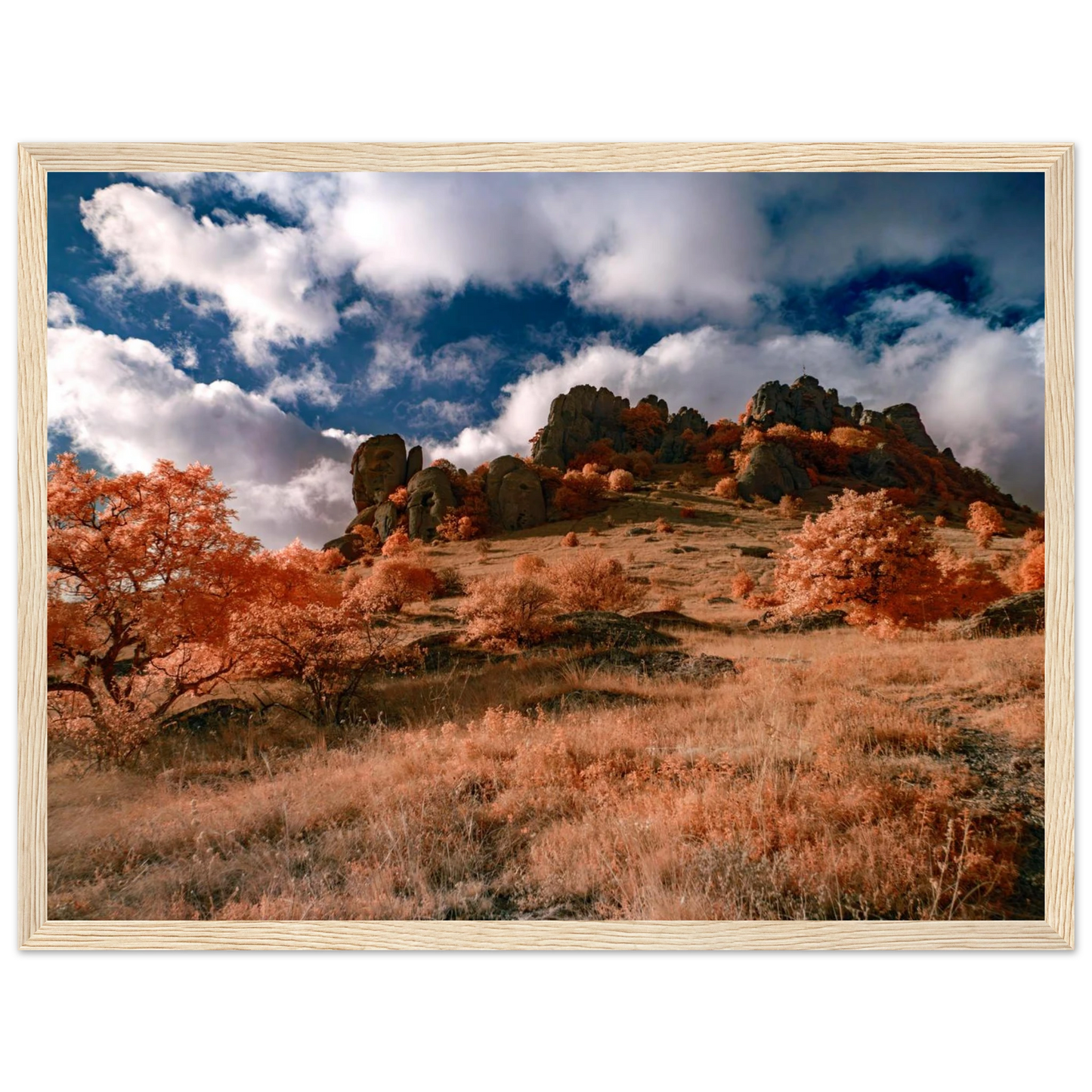 2f0cfb01-561b-4dcf-b5d6-e3527233251e