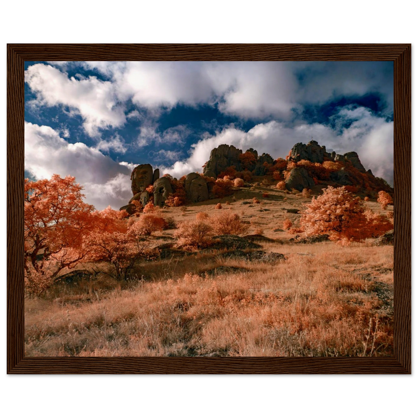 2fb597b3-df29-4017-b018-9b43b65eb11d