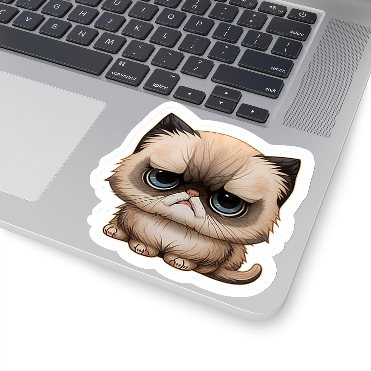 Kiss-Cut Sticker of cute funny cat kitten for your collection