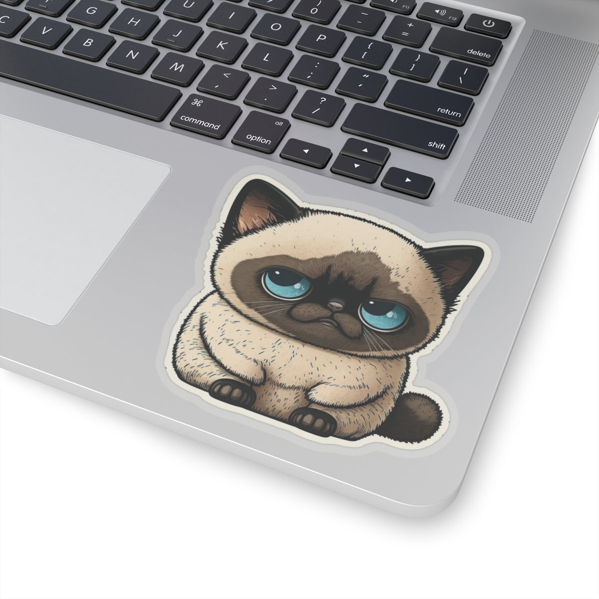 Kiss-Cut Sticker of cute funny cat kitten for your collection