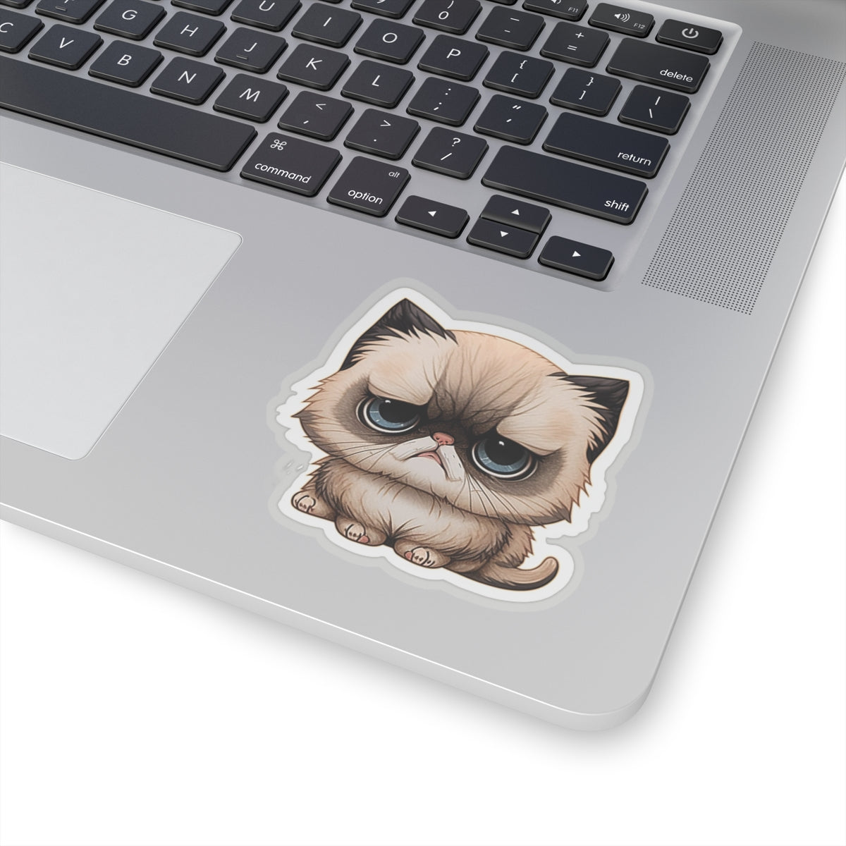 Kiss-Cut Sticker of cute funny cat kitten for your collection