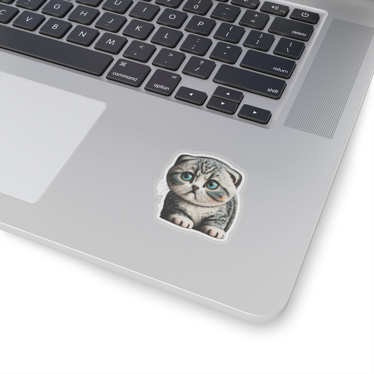 Kiss-Cut Sticker of cute funny cat kitten  for your collection