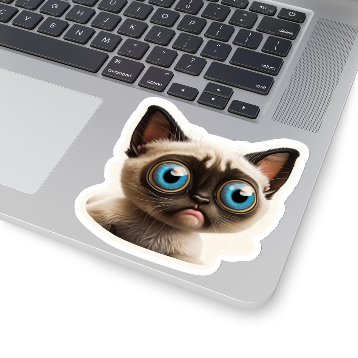 Kiss-Cut Sticker of cute funny cat kitten for your collection