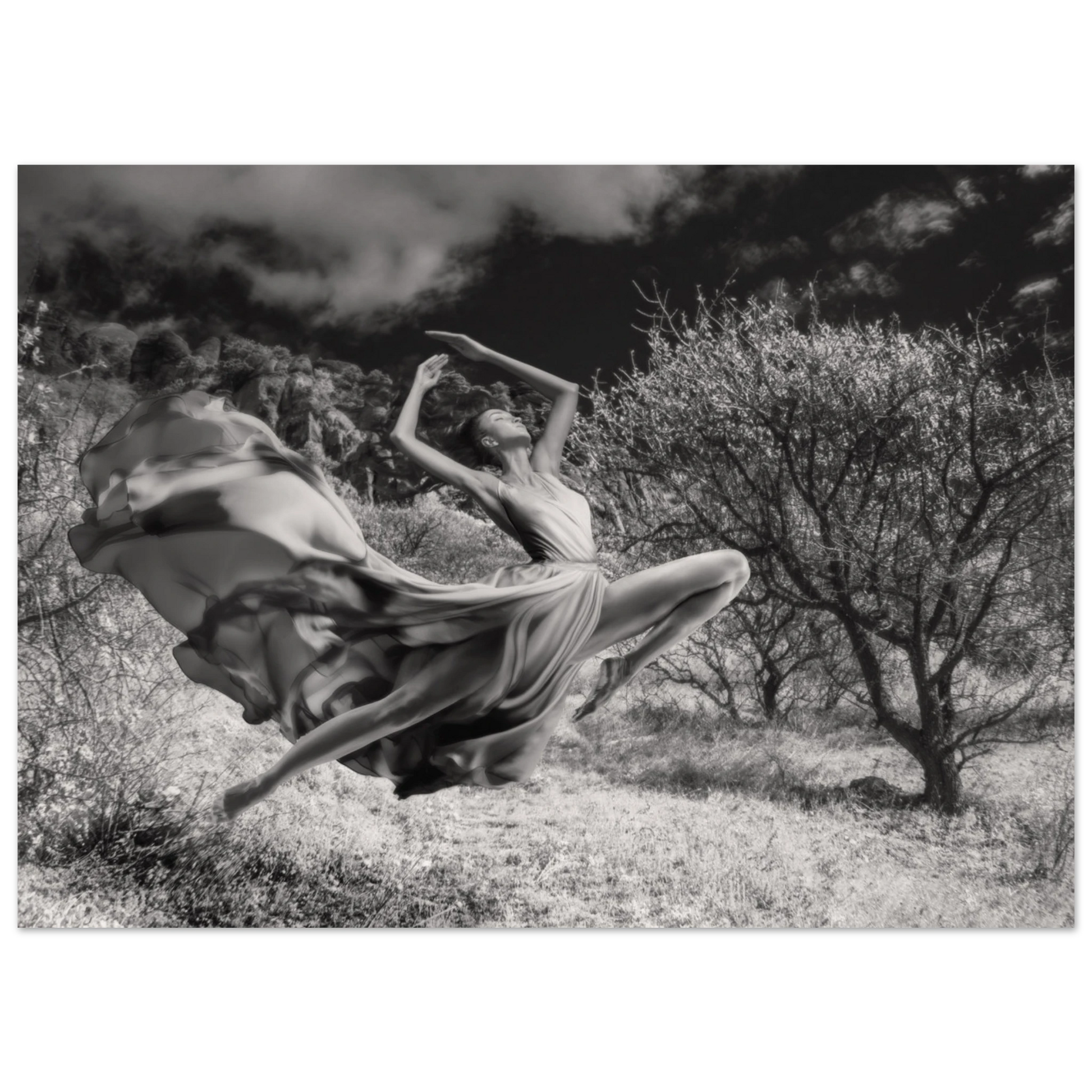 32d039e3-f679-47ea-8a3f-2edf220a452f