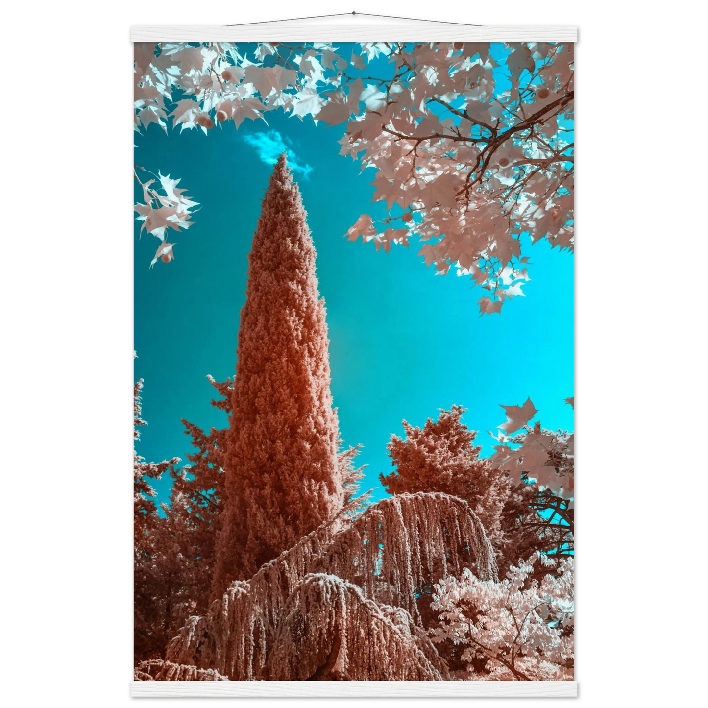 34a2c785-7f3a-4fcf-a342-865742018289