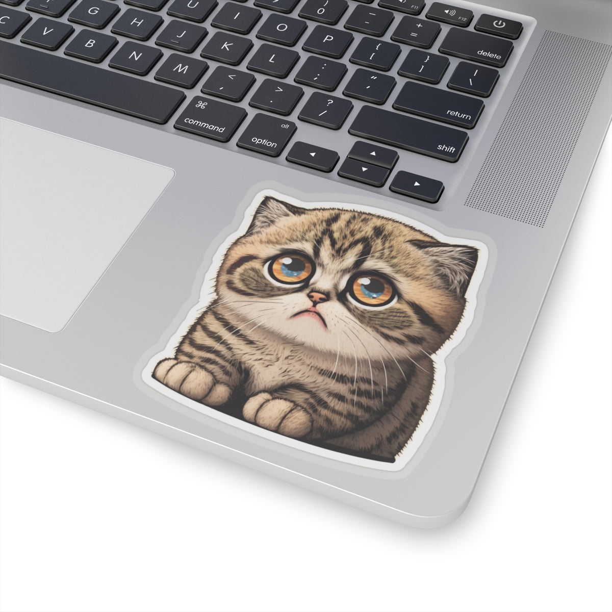 Kiss-Cut Sticker of cute funny cat kitten  for your collection