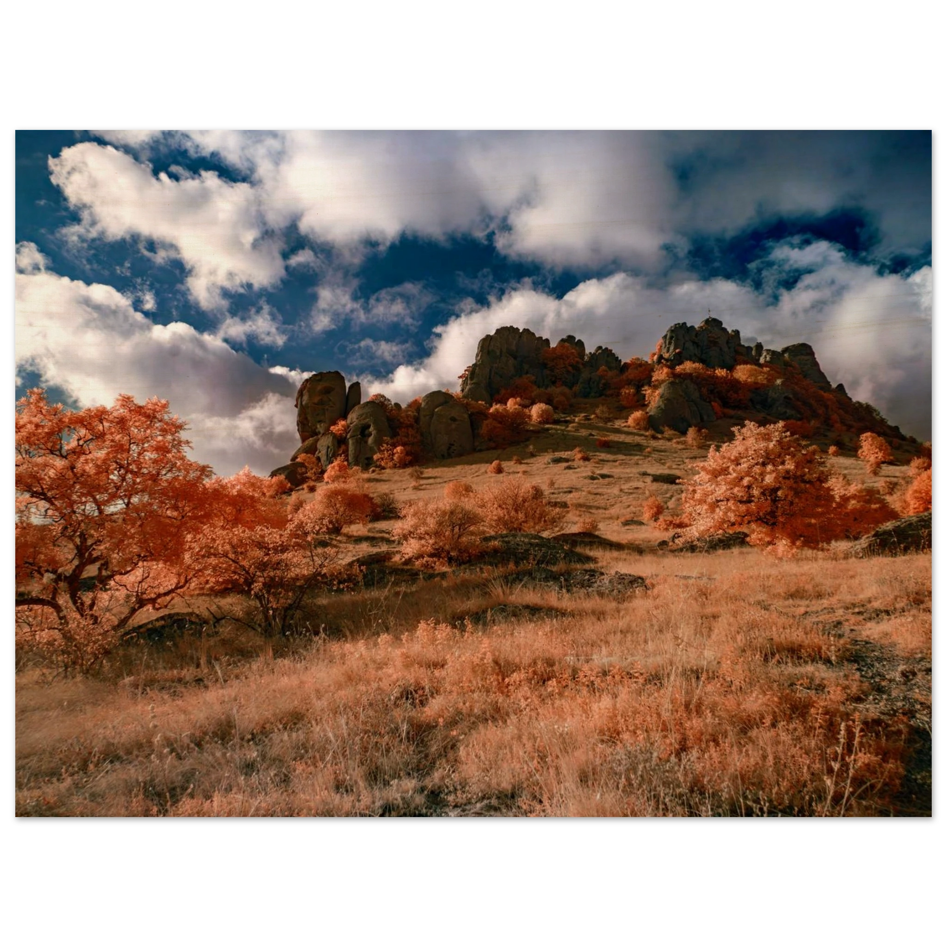 35db065d-e19d-49b0-9b1f-fd6abd542a14