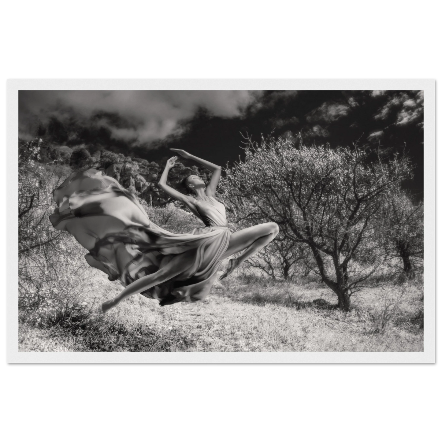 35ee807f-f313-4b68-9d69-046a71d1633e