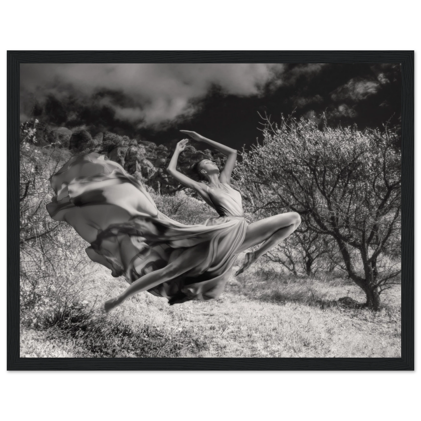 36066a50-8394-43a0-81d0-10a0de0c42ba