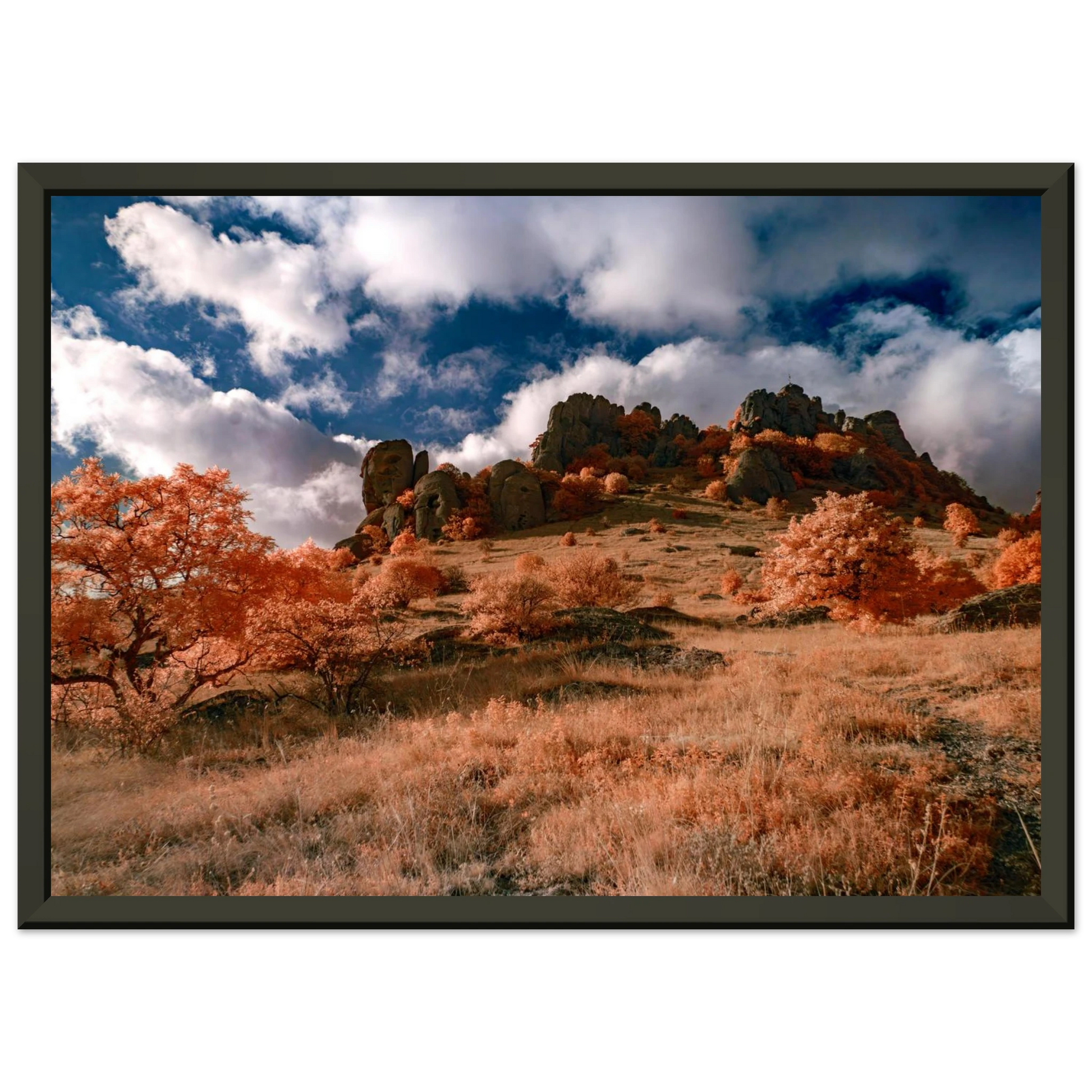 36d79674-a339-413b-9cb3-46aae00ec852