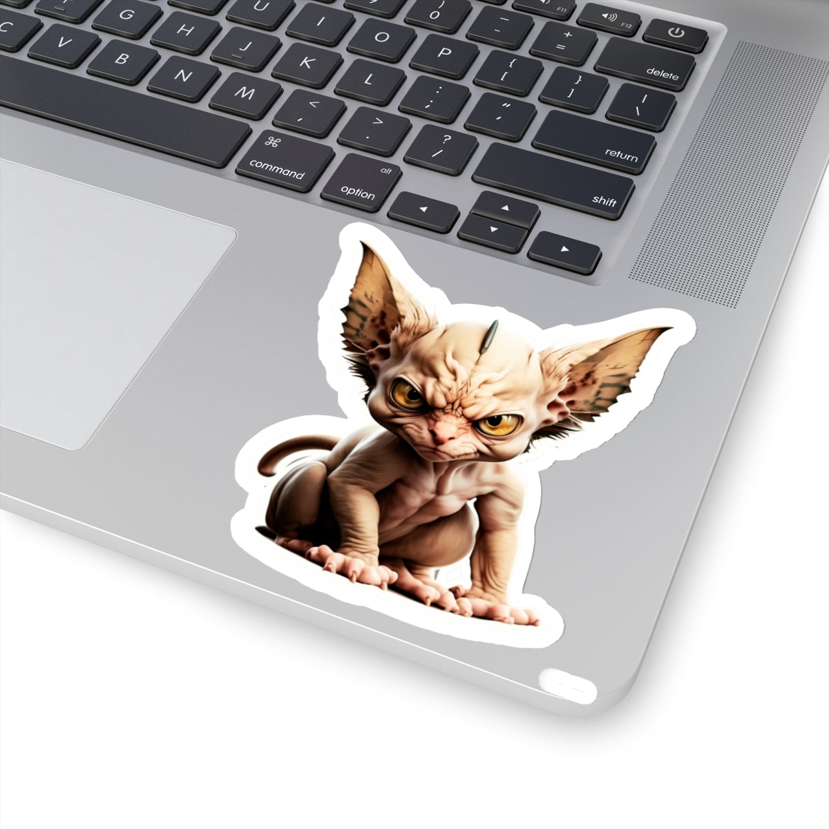 Kiss-Cut Sticker of cute funny angry sphinx cat kitten for your collection