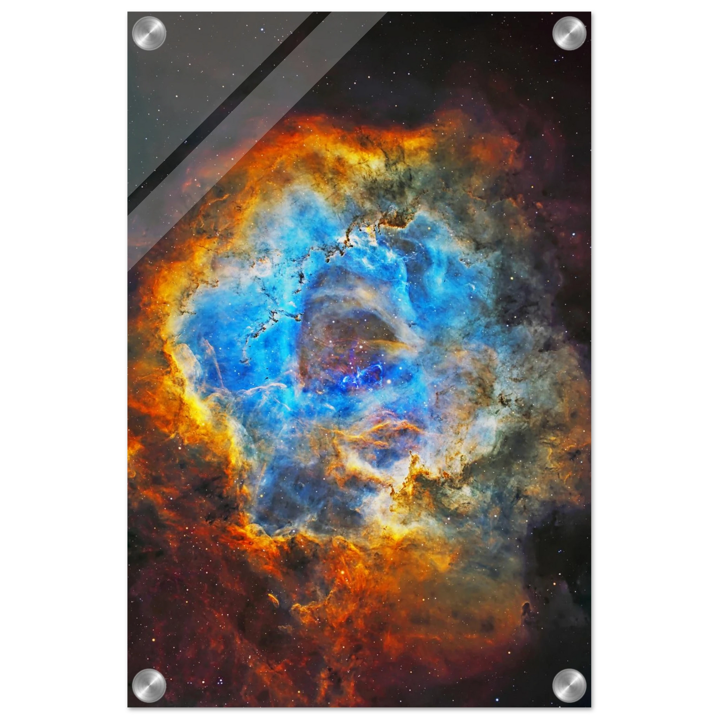 37c96ff4-c67a-4cfe-ad78-c19f36601de2