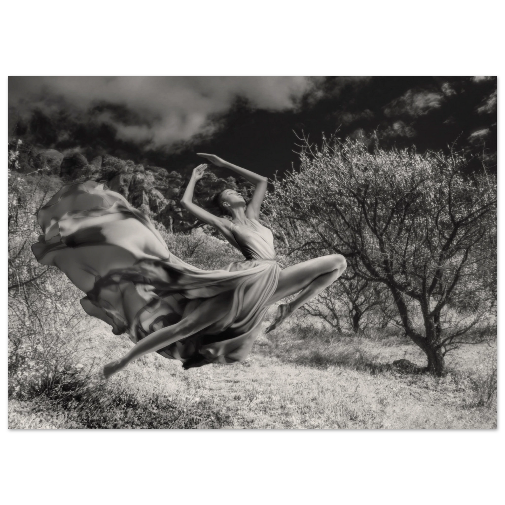 3807ed73-01c1-4748-aeef-d82e70f06781