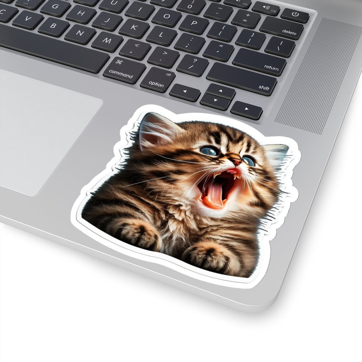 Kiss-Cut Sticker of cute funny golden chinchilla cat kitten for your collection