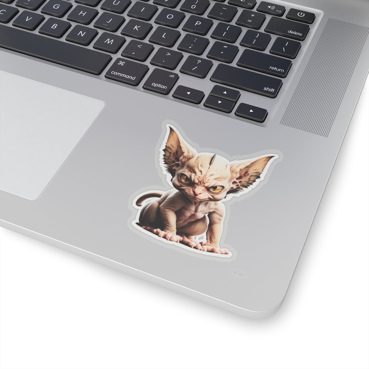 Kiss-Cut Sticker of cute funny angry sphinx cat kitten for your collection