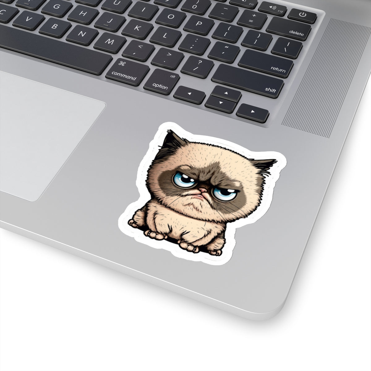 Kiss-Cut Sticker of cute funny cat kitten for your collection