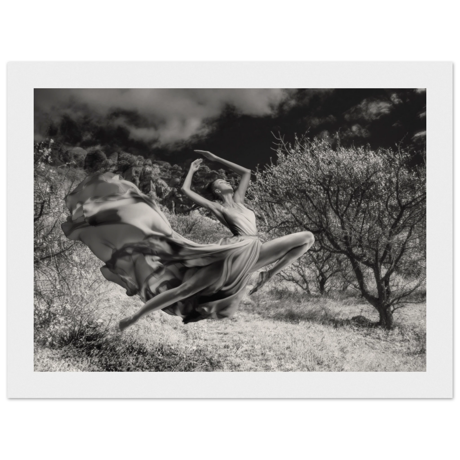 3afd3e38-f262-4b95-976e-96100ce4e539