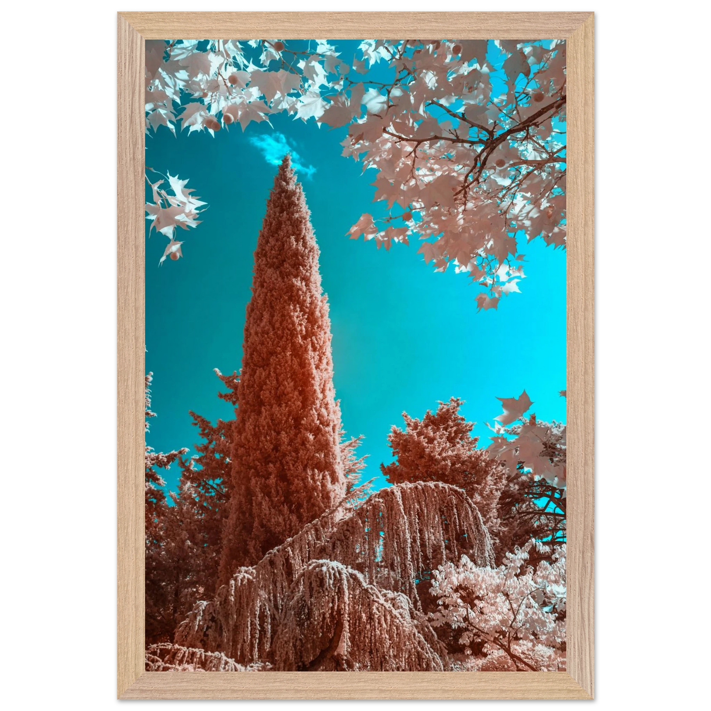 3c258088-e0e5-41ef-9fe5-99e206a4a7a6