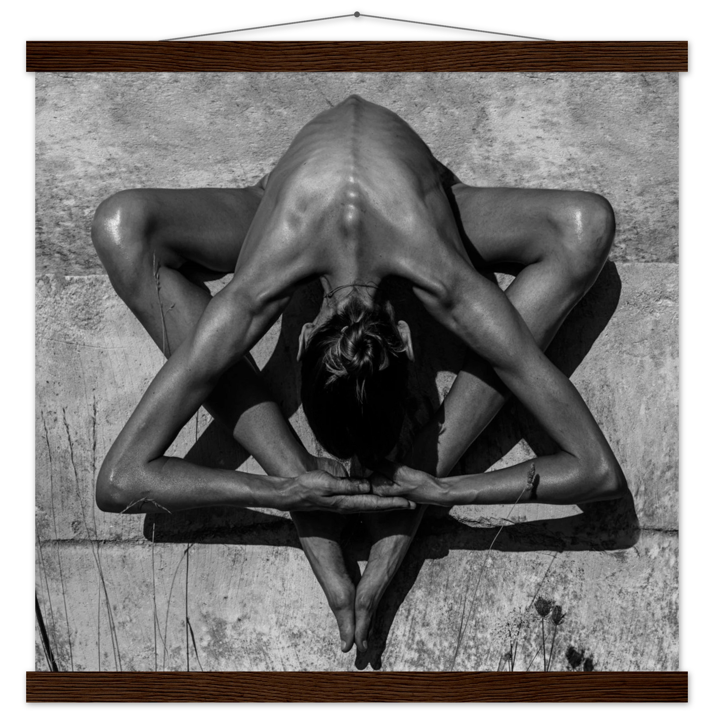 3dd81e93-a310-4780-a10a-ac4d47831a02