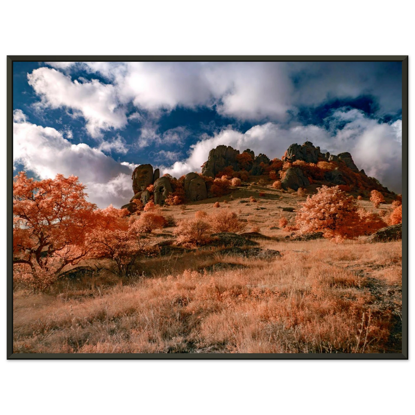 3eb590d2-7bca-49aa-b88c-2bfbf36badda