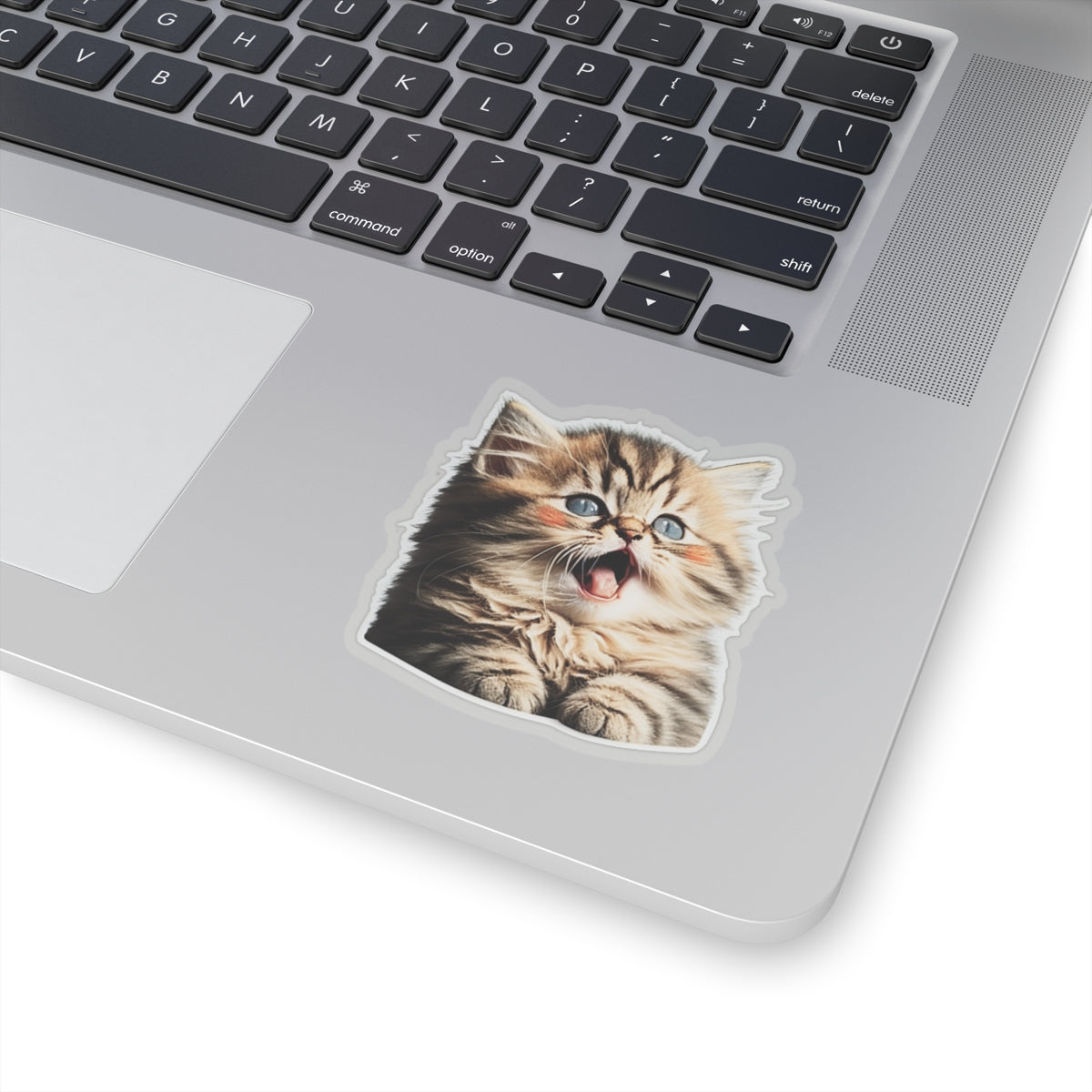Kiss-Cut Sticker of cute funny golden chinchilla cat kitten for your collection