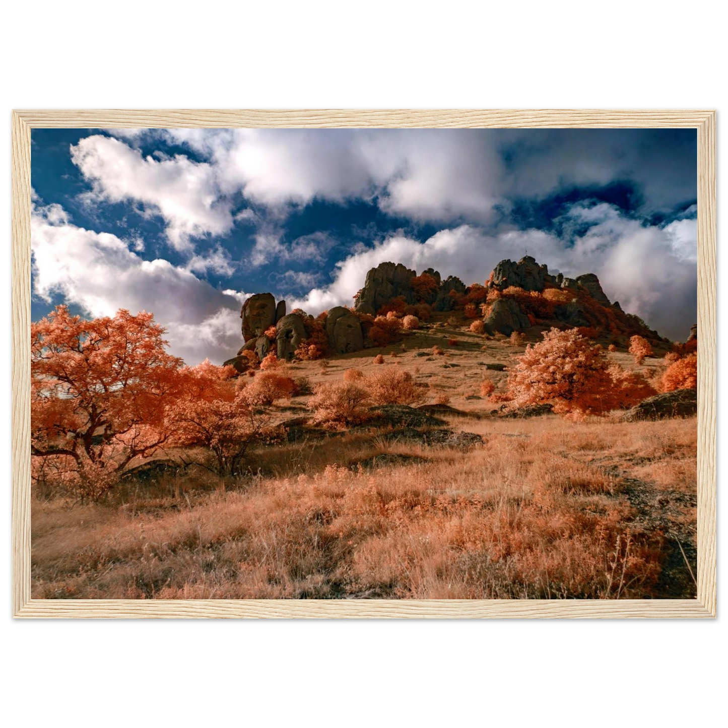 41c39efb-5459-4f30-b4e1-48d6acef47c8