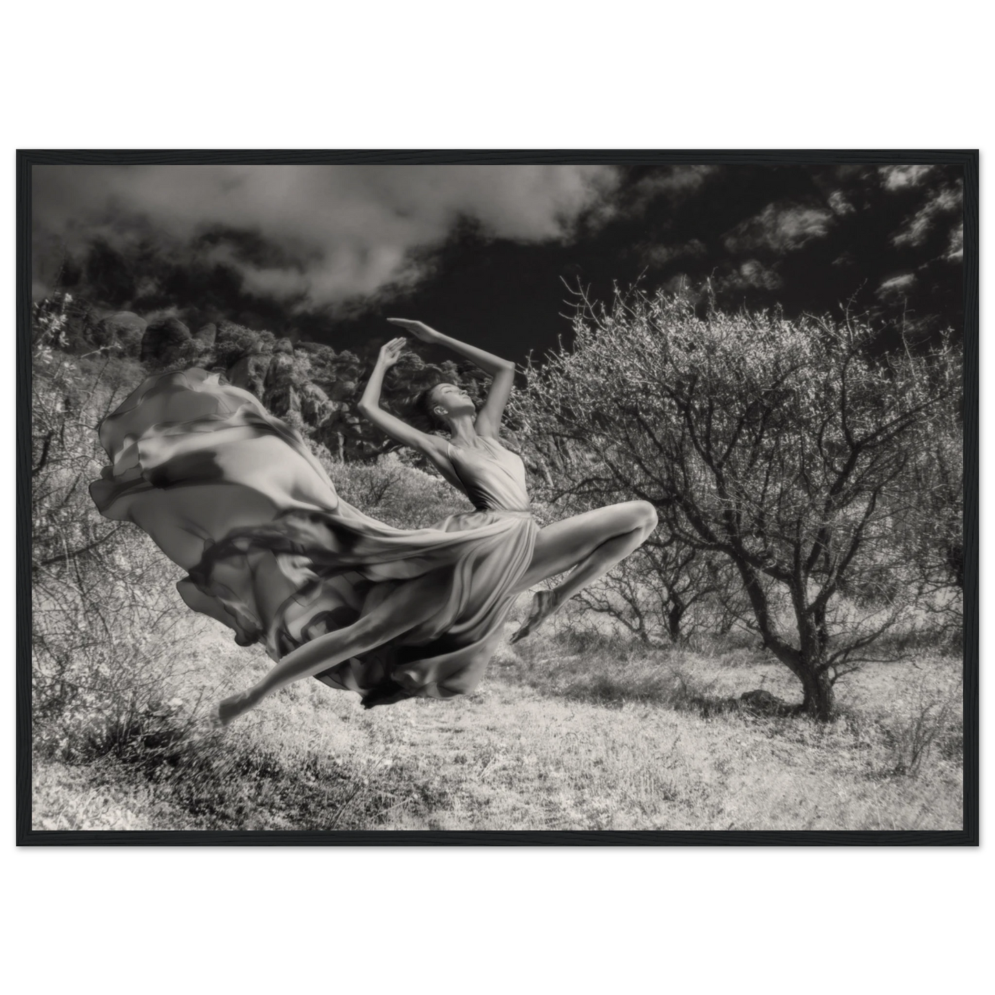 42c0a9f9-aac6-4cf0-9d16-f5f7fb12bdca