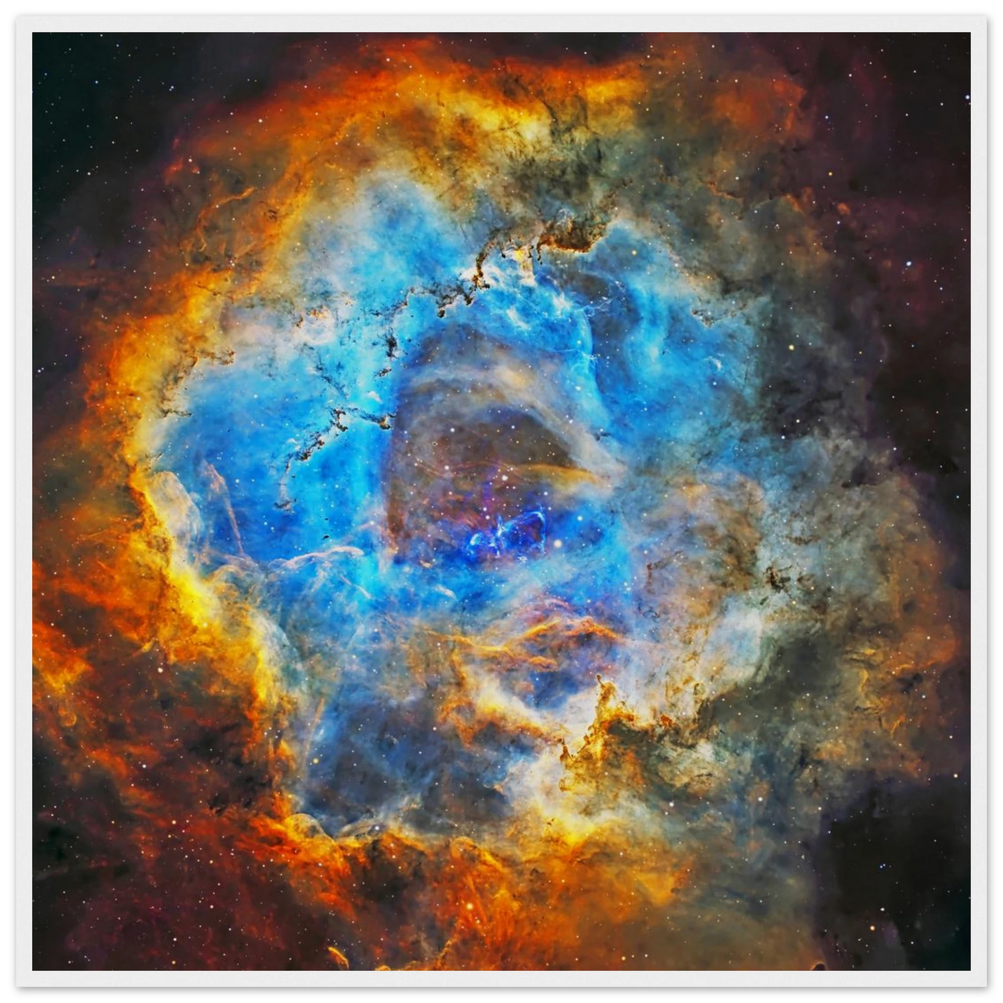 434ffed5-e1b2-49d9-949e-ec4b81b9f1ec