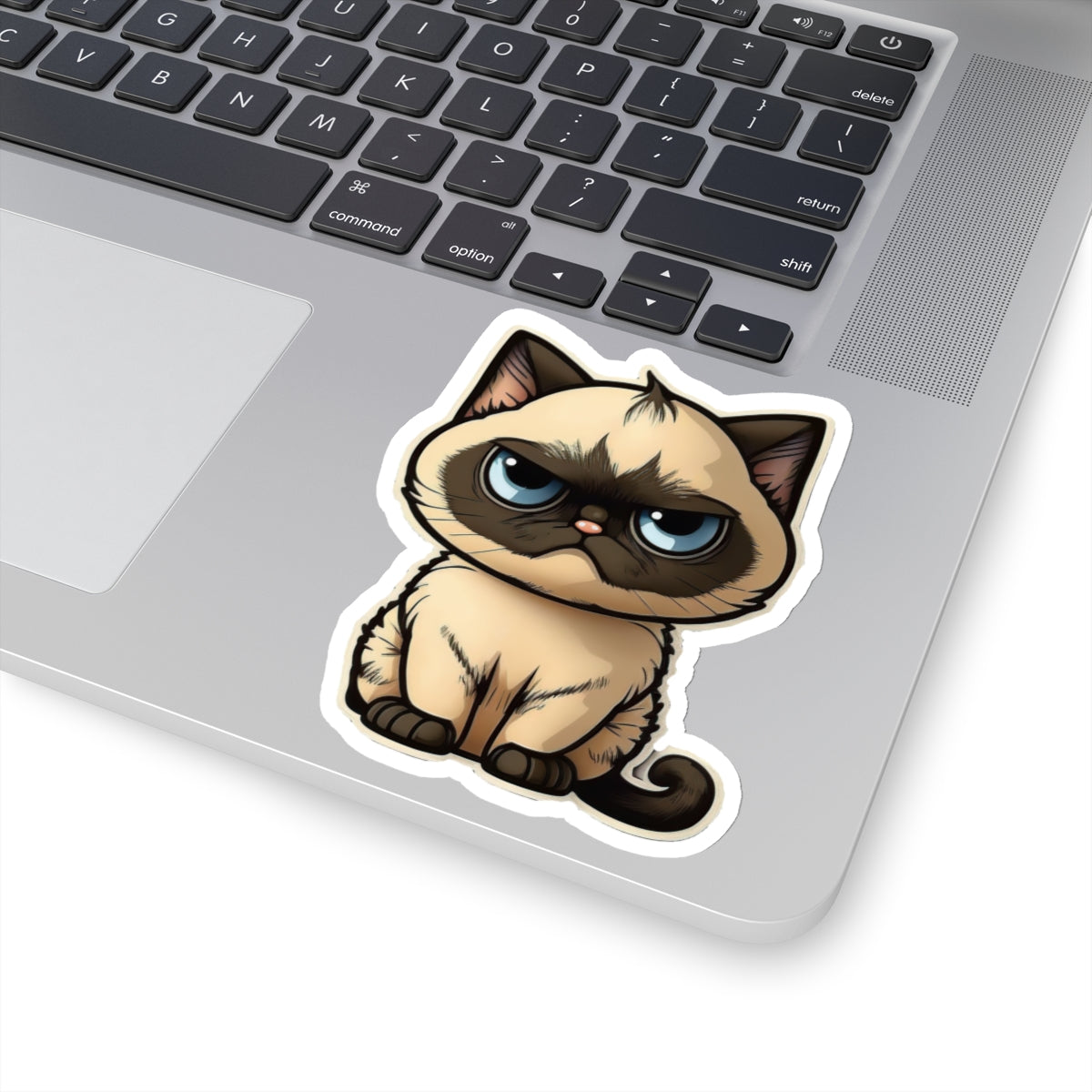 Kiss-Cut Sticker of cute funny cat kitten  for your collection