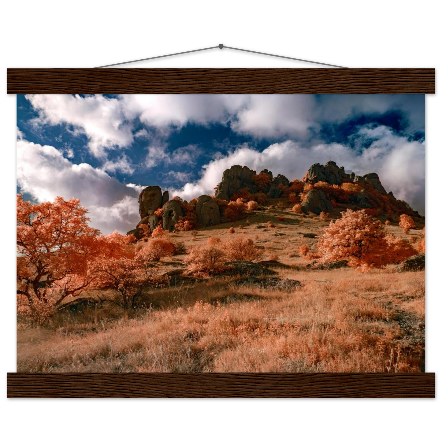 4369f28d-c93e-48b8-9c00-dbc2bc0e24e9