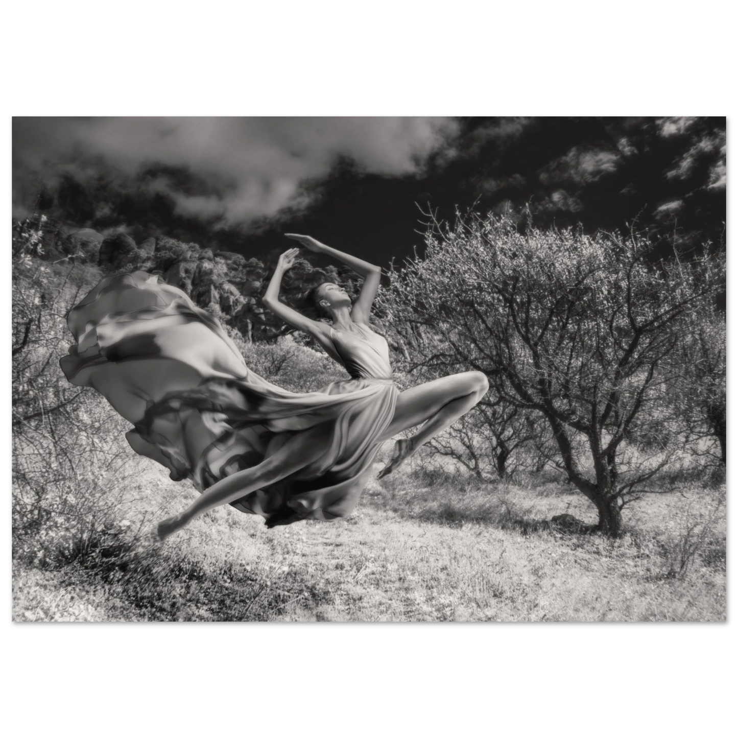 438536af-db80-4655-823e-a7ebfcef846d