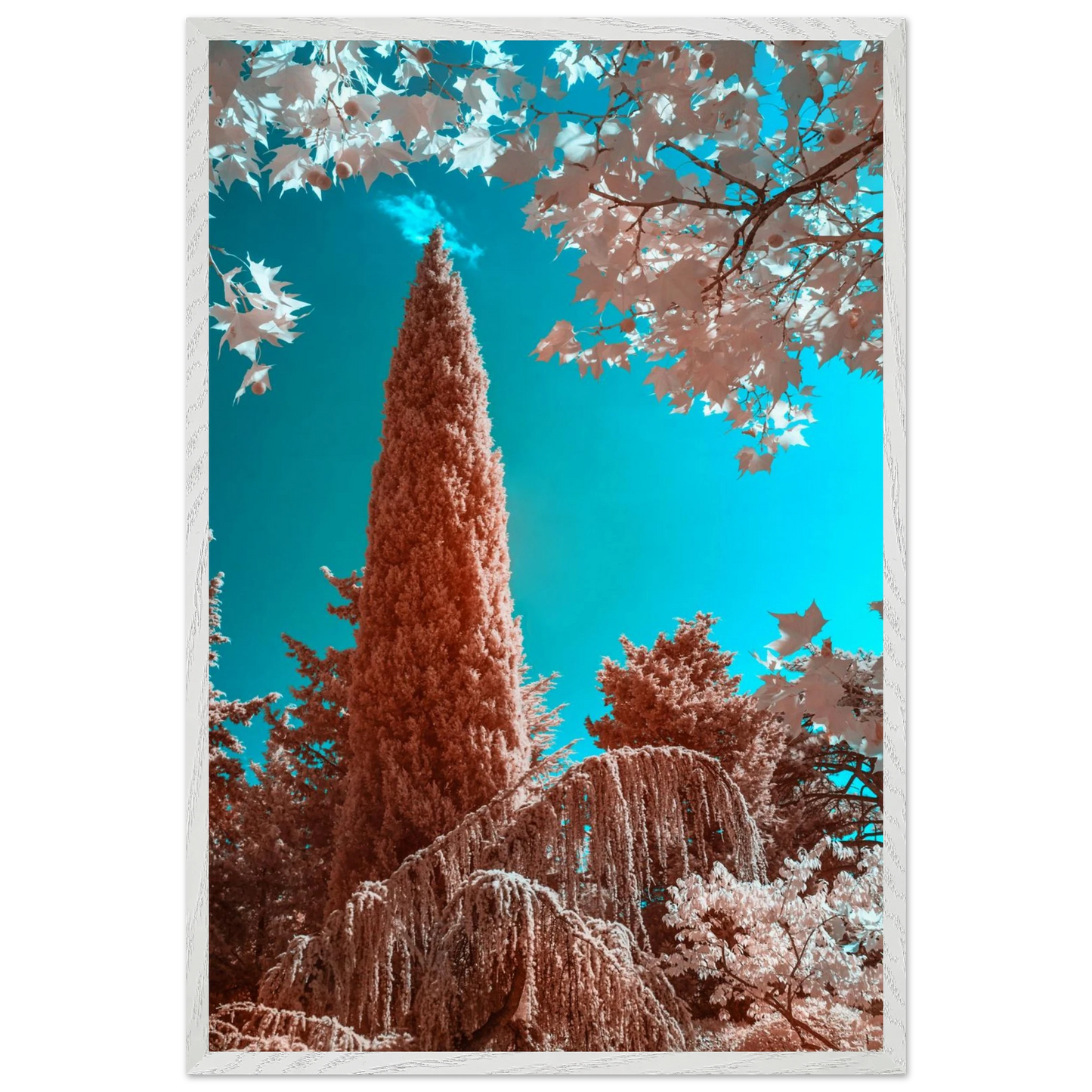 447c7229-402c-42b7-b515-00eca28479a4