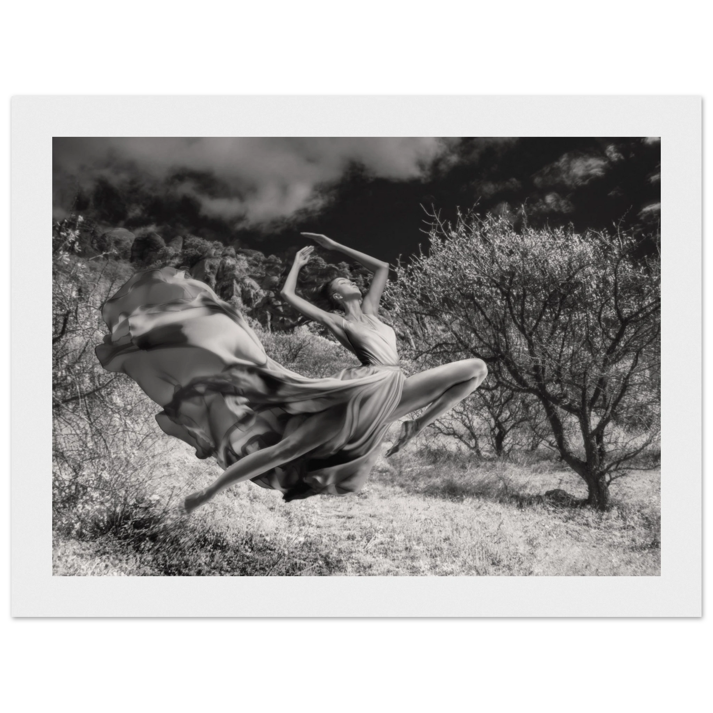 449bc8df-fa4f-4bbe-bd3d-3e7918168fee