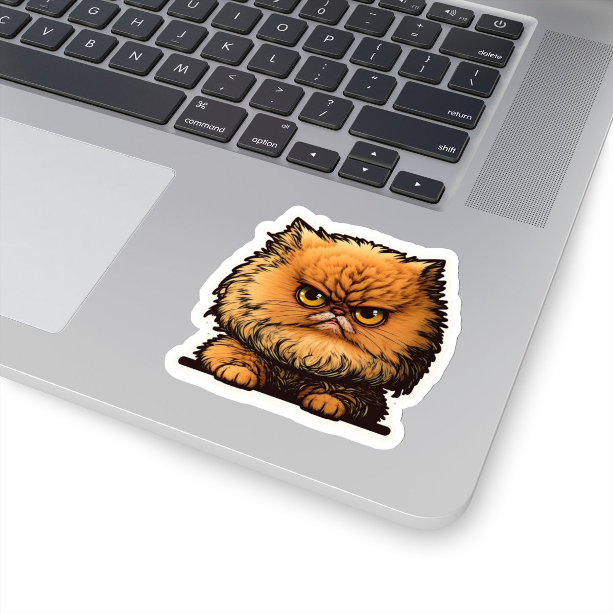 Kiss-Cut Sticker of cute funny angry cat kitten for your collection
