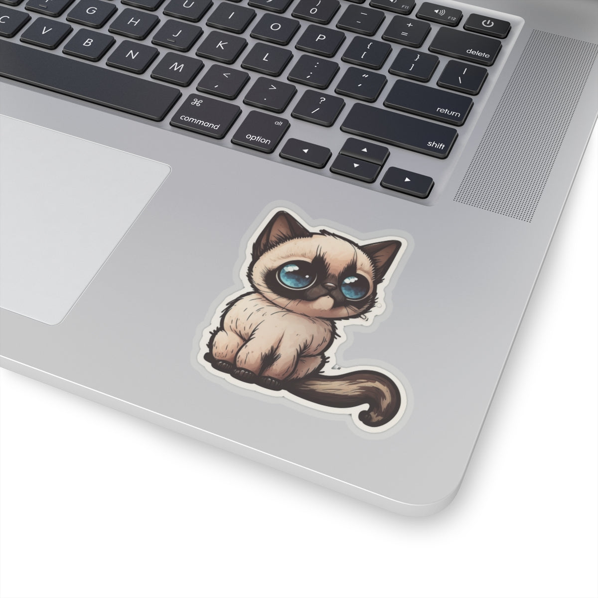 Kiss-Cut Sticker of cute funny cat kitten for your collection