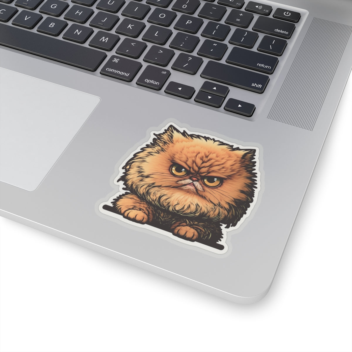 Kiss-Cut Sticker of cute funny angry cat kitten for your collection