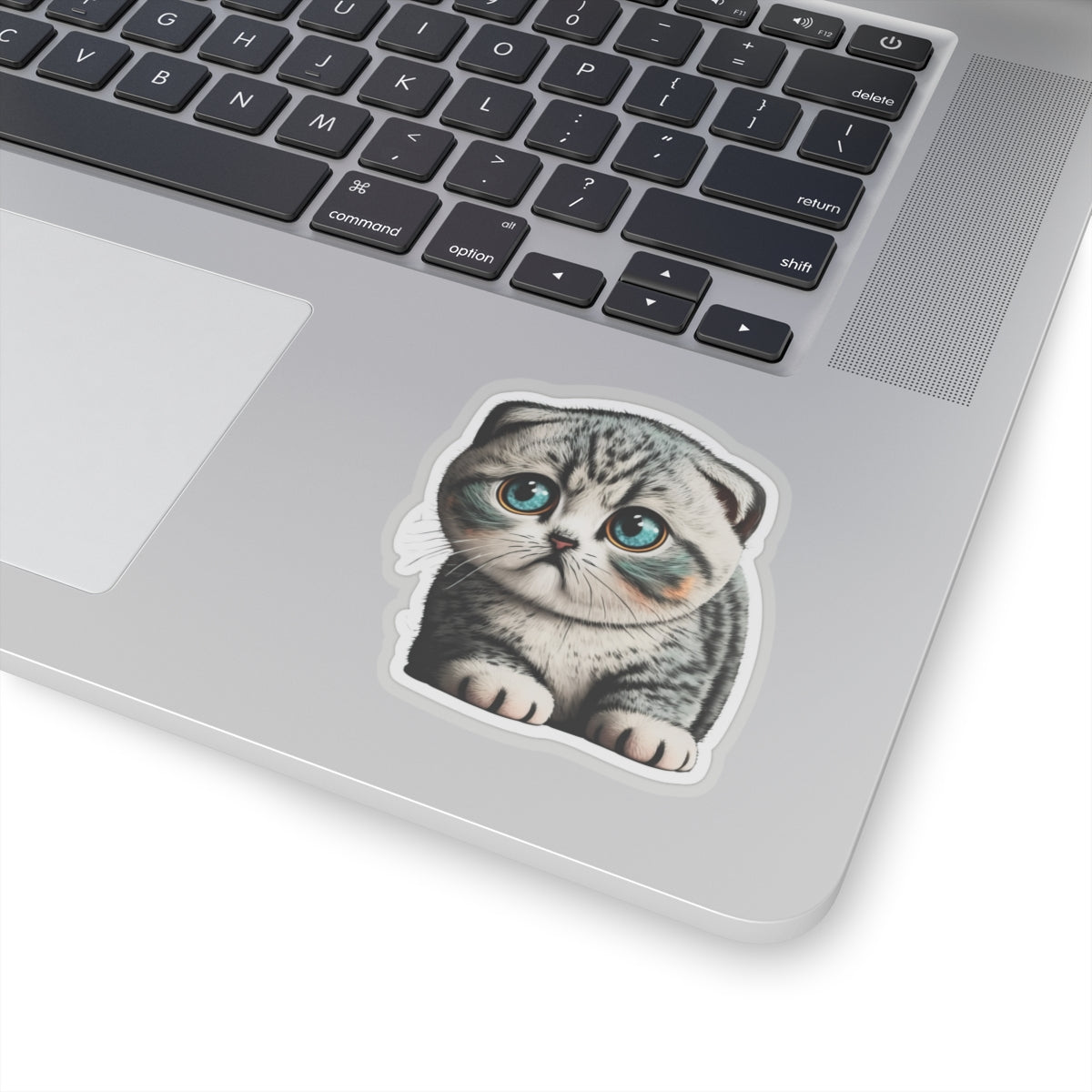Kiss-Cut Sticker of cute funny cat kitten  for your collection