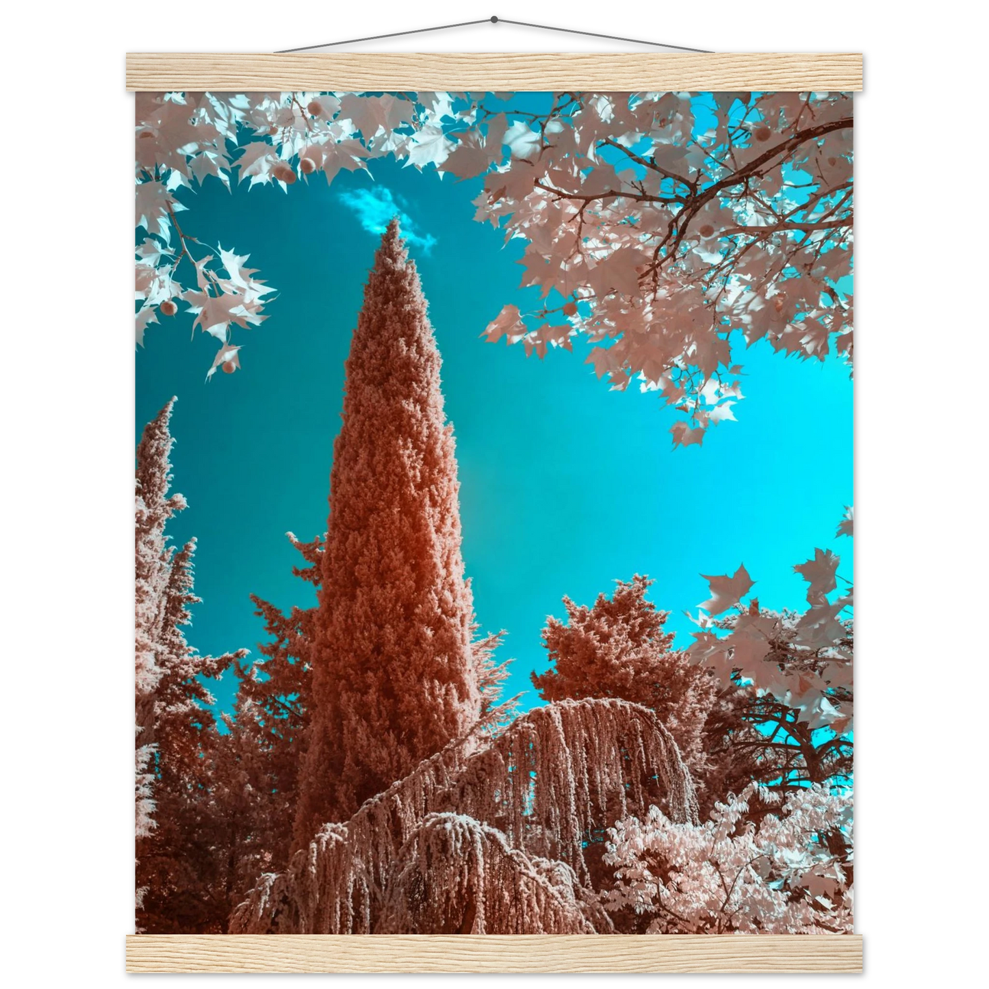 489a1897-26ed-4ab6-90be-8e041593dc4e