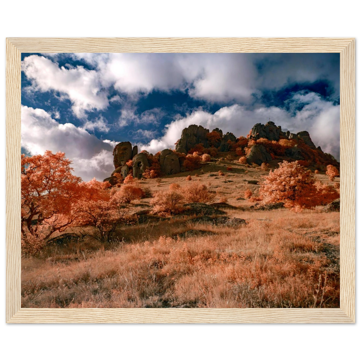 48d29375-a328-4629-bfaa-c985fe3a2e90