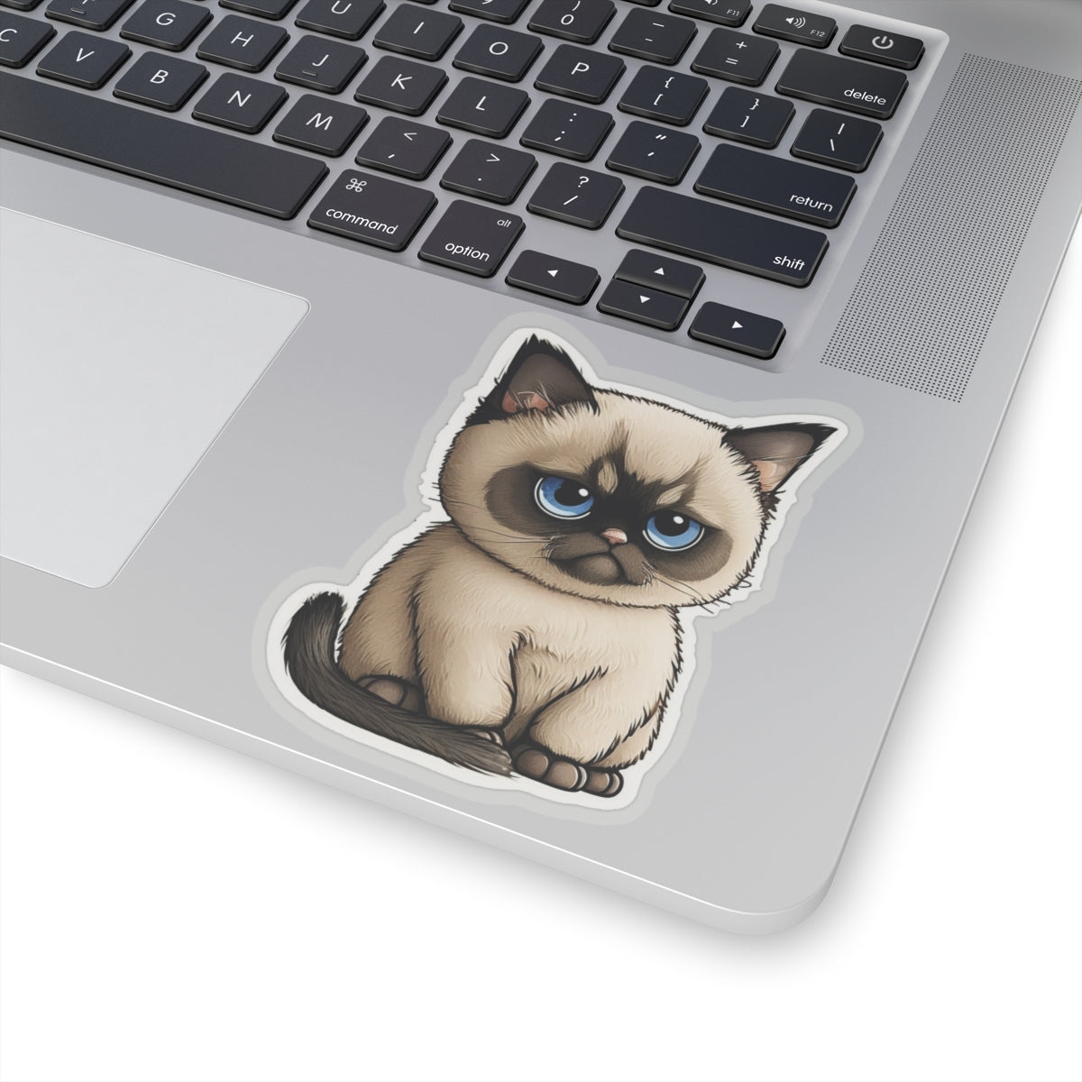 Kiss-Cut Sticker of cute funny cat kitten for your collection