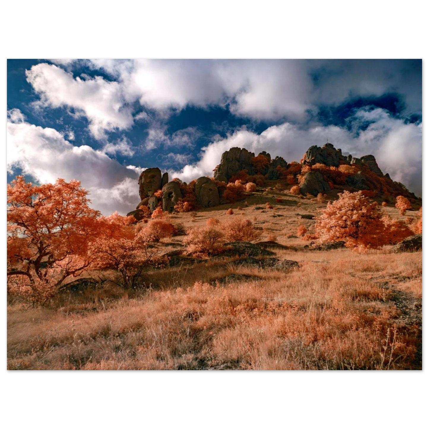 4a1d7a53-b349-4074-b8b7-2ee77c6674fb