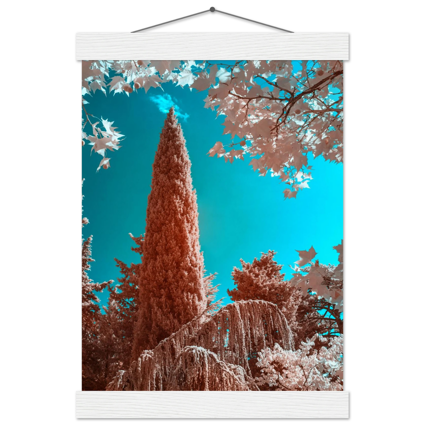 4a2e2a0f-d2ea-4745-9d76-2f3aa71667cd