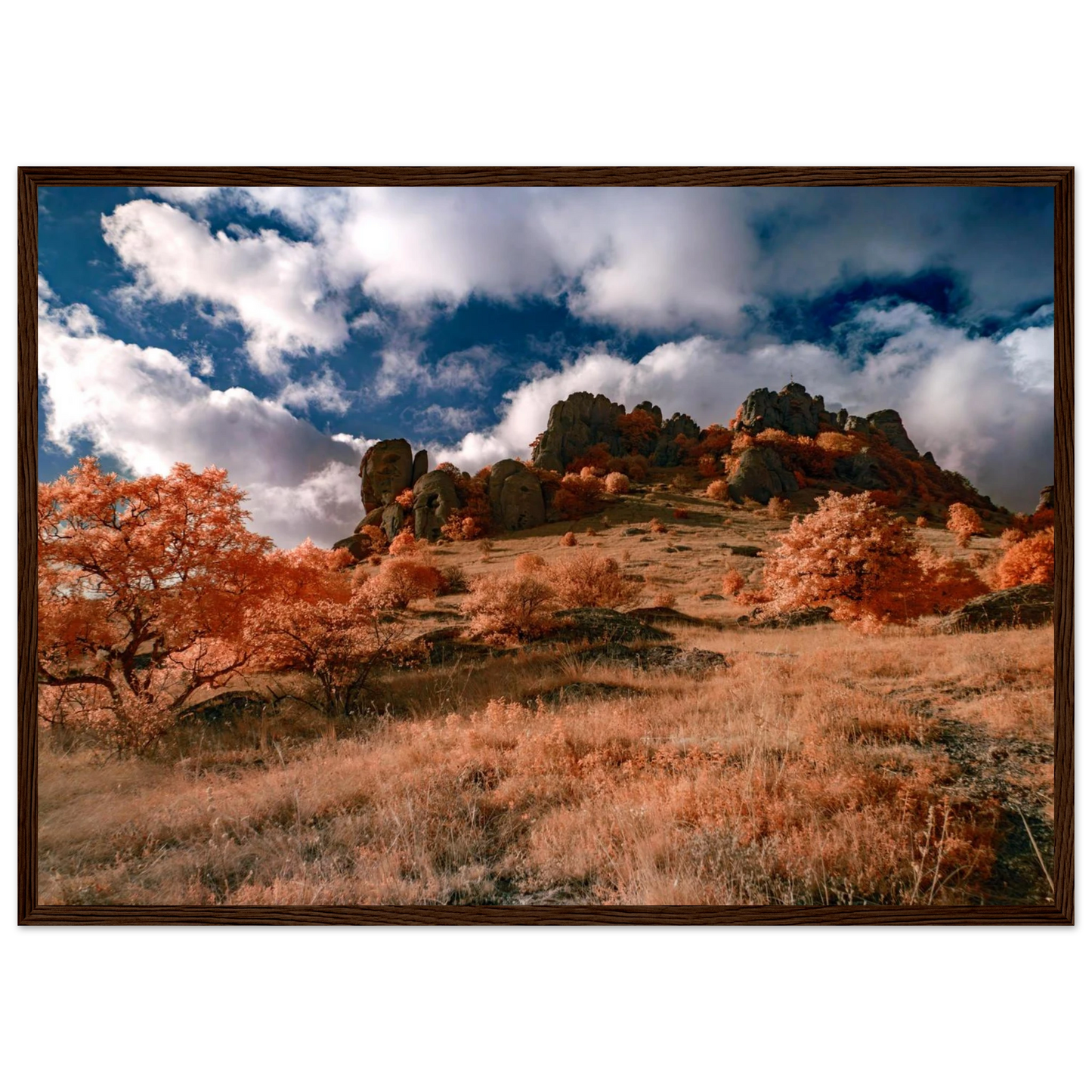 4ac6256e-a87e-4a23-a373-f20a89afb825